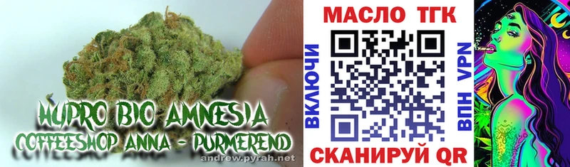 гидра ссылка  Новороссийск  Дистиллят ТГК THC oil 