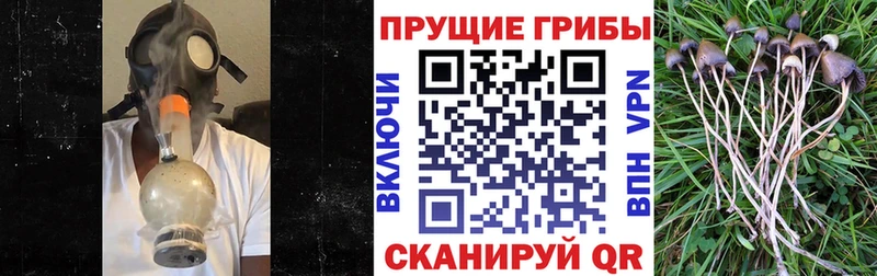 MEGA как войти  Новороссийск  Галлюциногенные грибы ЛСД  где купить наркоту 