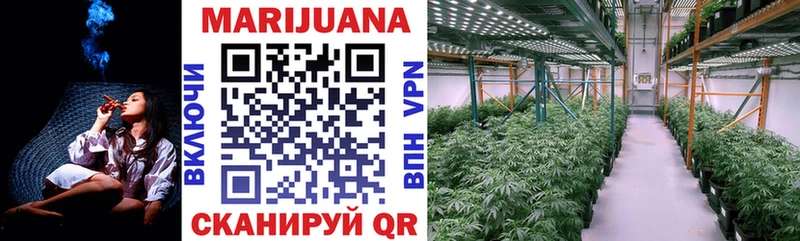 купить наркотики сайты  Новороссийск  Конопля THC 21% 
